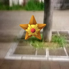 【お題日記】痩せたい・痩せようの決意表明をどうぞ