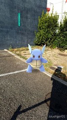 【お題日記】あなたが好きな夏の光景