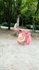 【お題日記】運動してますか？