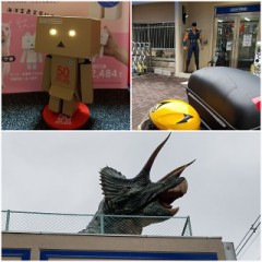 【お題日記】イヌ派？ネコ派？それとも？