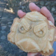 明けましておめでとうございますm(__)m