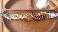 念願の秋刀魚