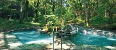 森の中の温泉