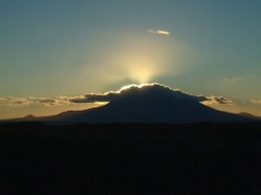 見つけてしまった