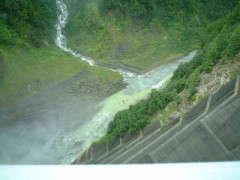 はいりますか？