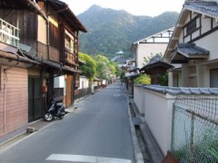 玉緑茶の飲み方