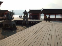 てん茶の飲み方