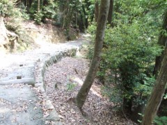 普通のデジログで