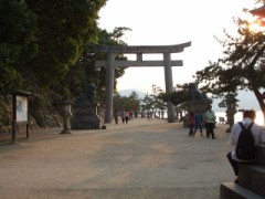 ばたばた茶の飲み方