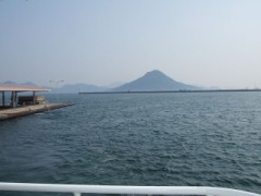 嬉野茶の飲み方