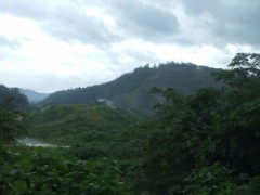 春夏秋冬どれがすき？