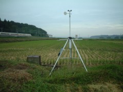 どのコンビニがお好き？