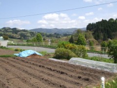 ホットケーキになにをかけますか？