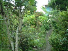 まるで化学実験です･･･