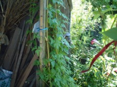 そわそわします。。。