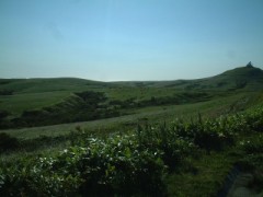 のこってますか？