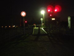 巻き込まれるのは、ね