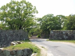 中から出てきたのは