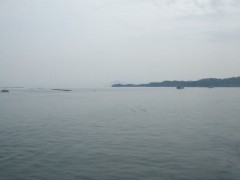 あっ、逆だったー（汗