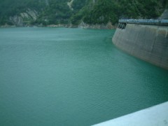 ふとったお犬さま