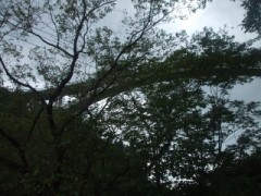 世界遺産に登録されたー