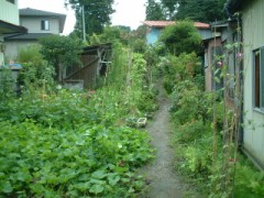 いつの間にか穴がぁー