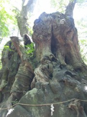 応援よろしくー