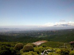 エスカレーター？いえいえ