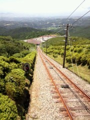 お腹がすきましたｗ