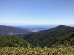 スタバvsコメダ？