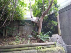 飲むのはなぁー