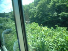 色んなのありますね