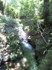 忘年会シーズンですね