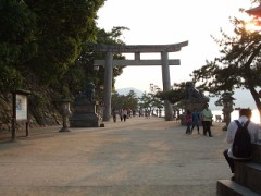 飛び込むのは、、、