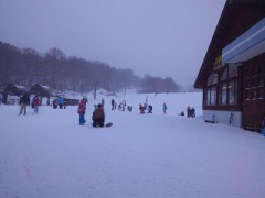 食べ切れません。。。