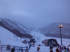 なんとなくサイエンス