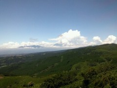 心に浮かぶ種目