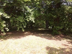 今日はアーモンド？うーん、これは、、、