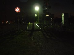 もっちりした餅