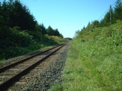 取り組んでますか？