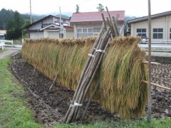 いくついけますか^^？