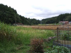 読めませんでした。。。