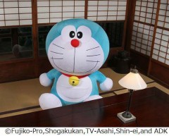 等身大のどら（今日はどらの誕生日です！