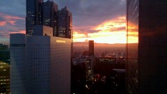 夕日がきれいでした