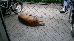 髪がなぁ、うーん