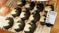 家のマスコットのヒヨコと今年のゆるきゃらグランプリ