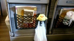 スキー行って来ました、、、ちゃんと調べないとダメですね･･･（汗