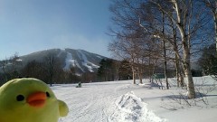 最近どこぞの船橋のマスコットみたいに汚れが・・・