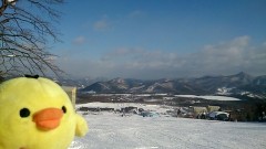 2枚投稿してみました