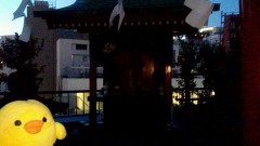 天空の神社、というほどでもないのか